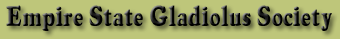 gladiolus society